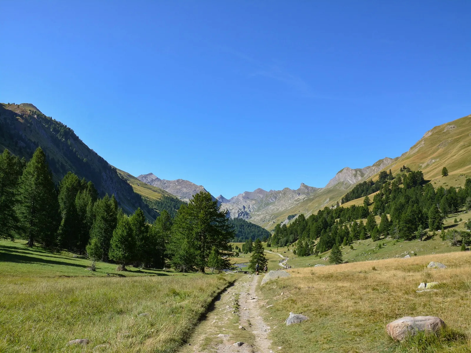 vallon du lauzanier col de larche fral230
