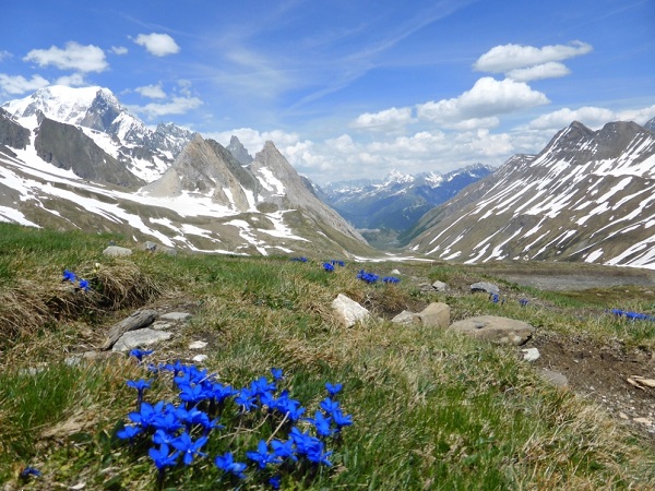 rando montblanc - Grande Traversée des Alpes étape 2, du Mont-Blanc à la Vanoise