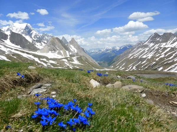 rando montblanc