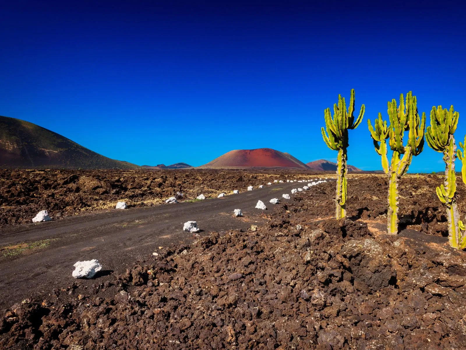 timanfaya national park 1600