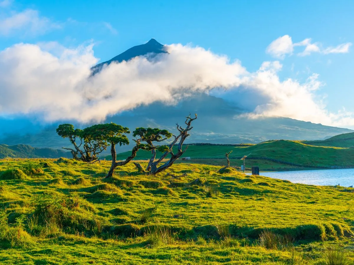 pico mont acores randonnee