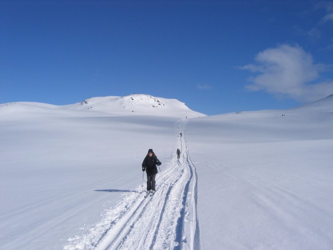circuit 018605 003 - Le Tour du Jotunheimen en ski de randonnée nordique