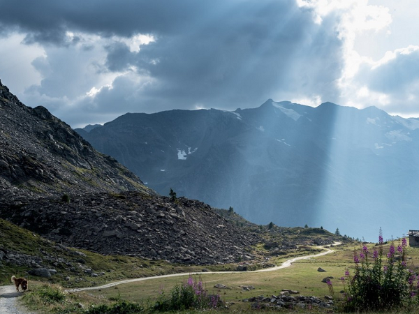 Virade en Val d'Aoste, Grand Paradis : La perle des Alpes italienne