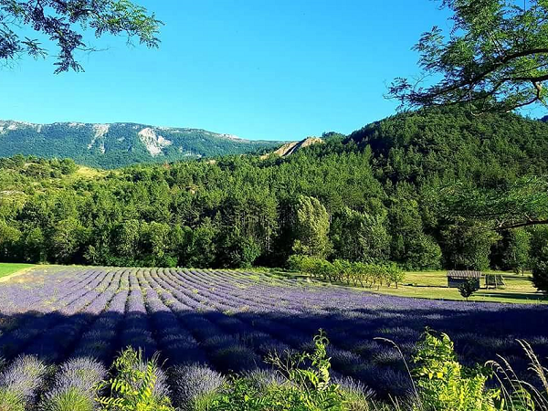Les chemins de la Provence en VTT