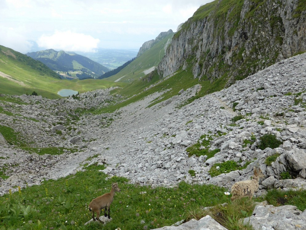 du leman a chamonix gta - Du Léman au Mont-Blanc (GTA / GR5 étape 1) en liberté