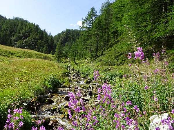 riviere piemont italien randonnee