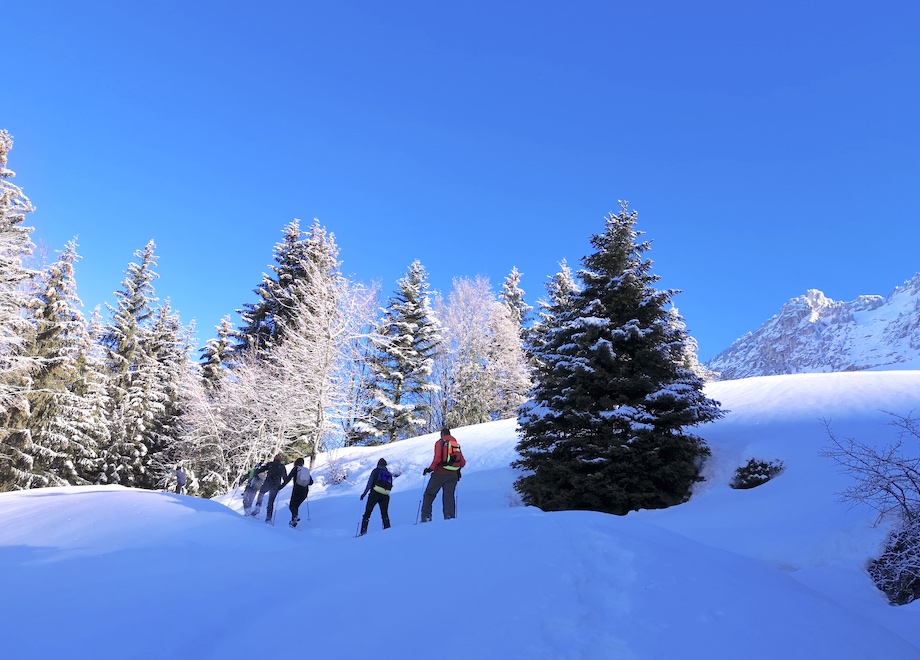 bauges en hiver sous la neige