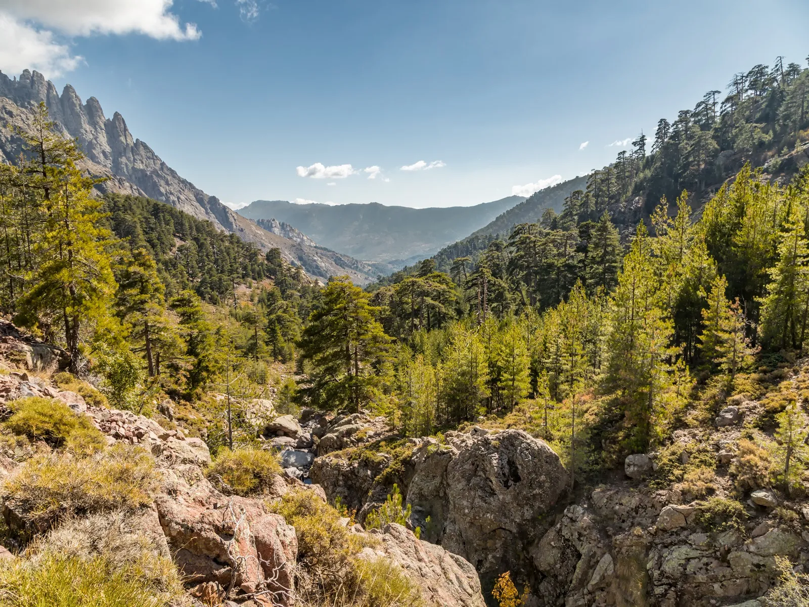 rocks pine trees and mountains in central corsica frac02