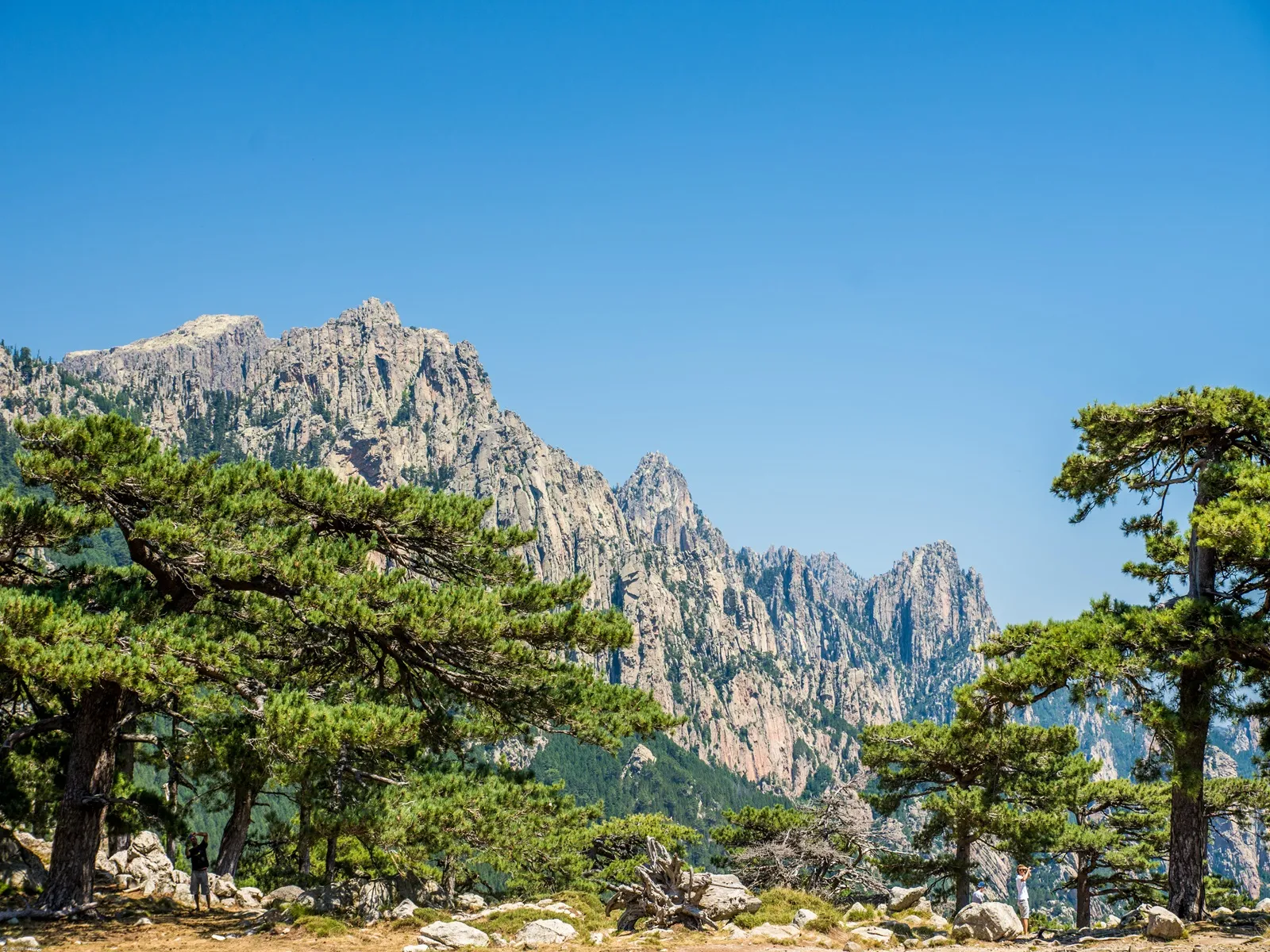 aiguilles de bavella corse fragr201