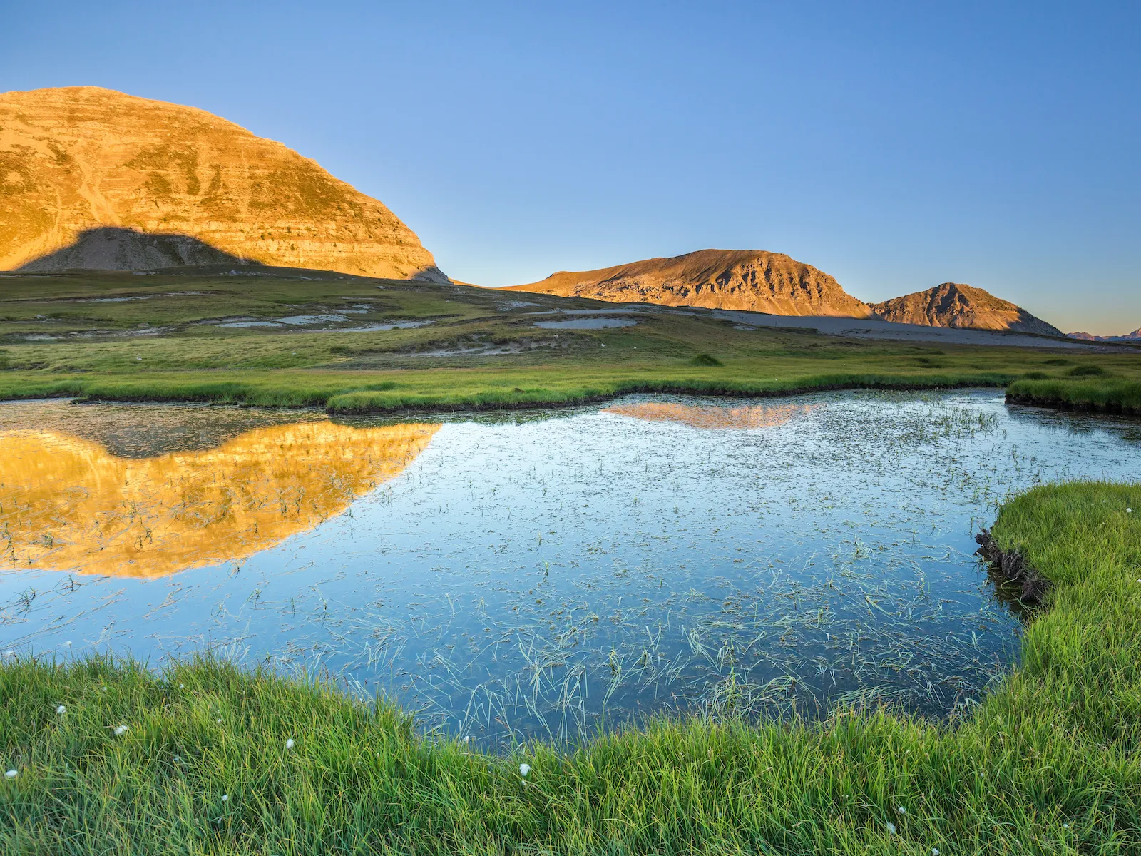lac lignin