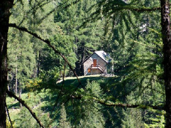 retrouvance france onf - Retrouvance® entre Haut-Verdon et Mercantour