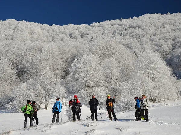 séjour en groupe raquette en montagne