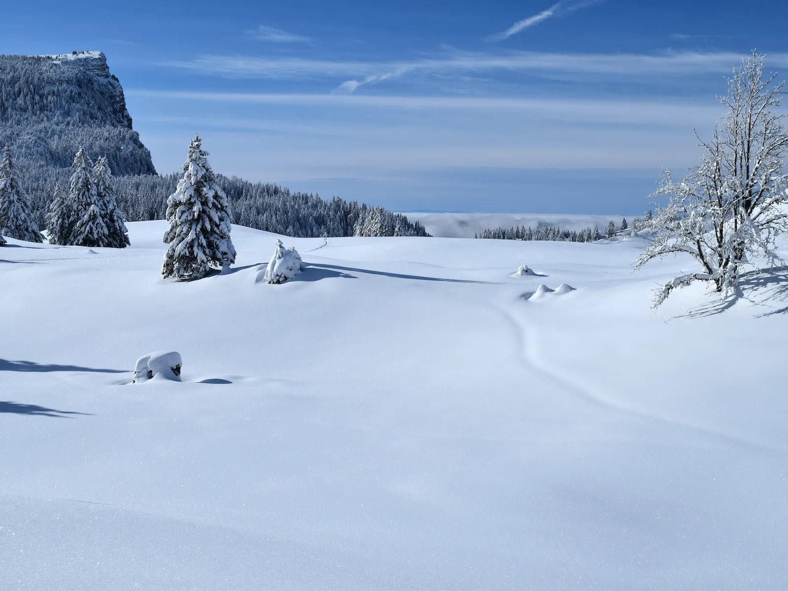 col de lalpette le plateau enneigé randonnée la Vie Sauvage