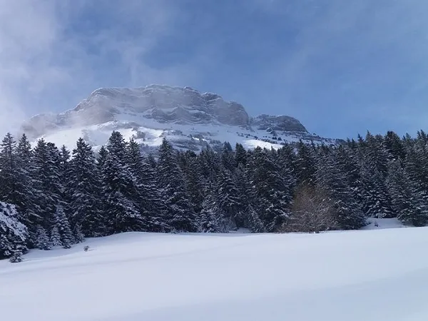 voyage alpes séjour raquettes la vie sauvage
