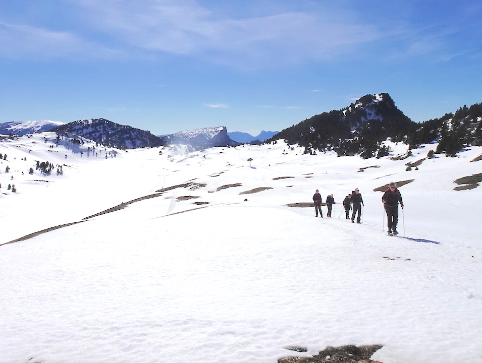 raquettes dans le vercors