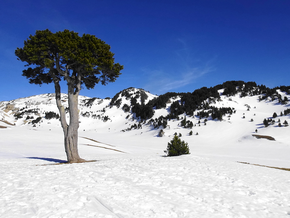 vercors randonnée raquette