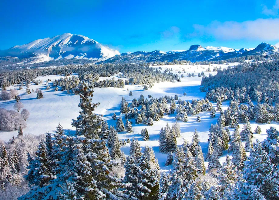 hauts plateaux vercors raquettes
