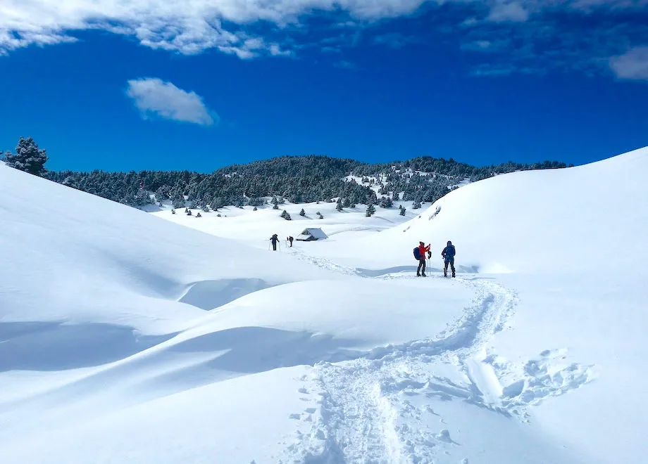 vercors raquettes voyage