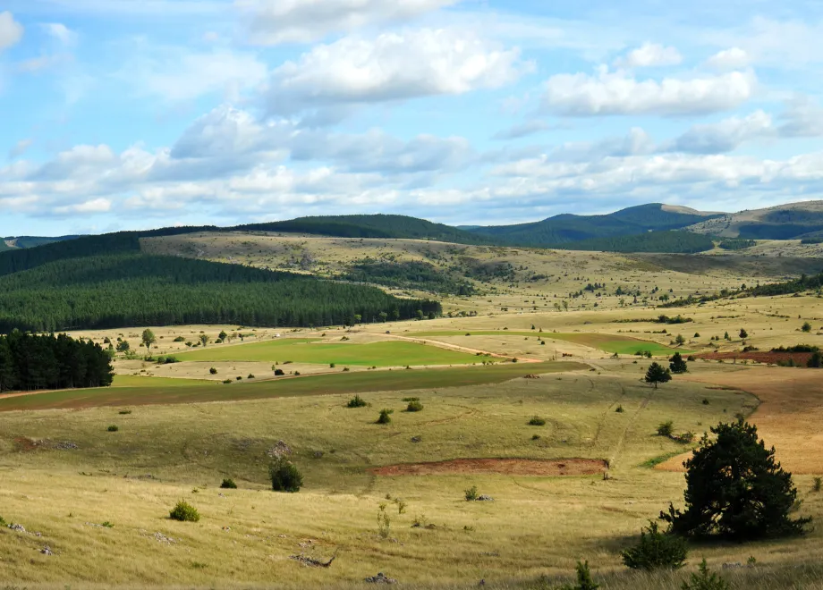 causse mejean