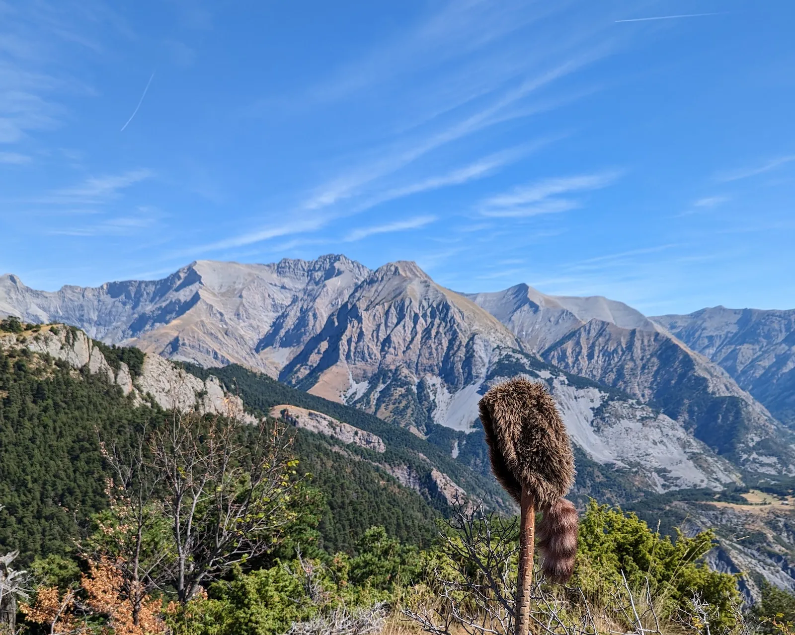 davy crockett au sommet 2