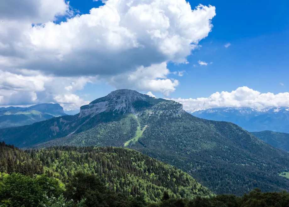 tour chartreuse trek