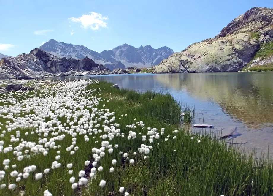 lac blanchet