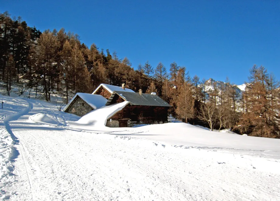 refuge buffere