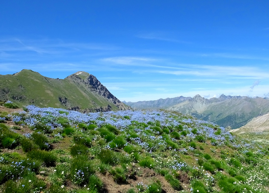 paysage tour du pain de sucre dans le queyras