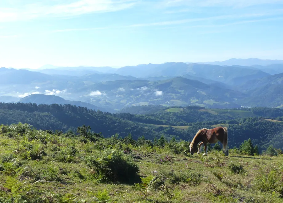 la rhune