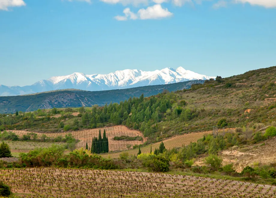 canigou