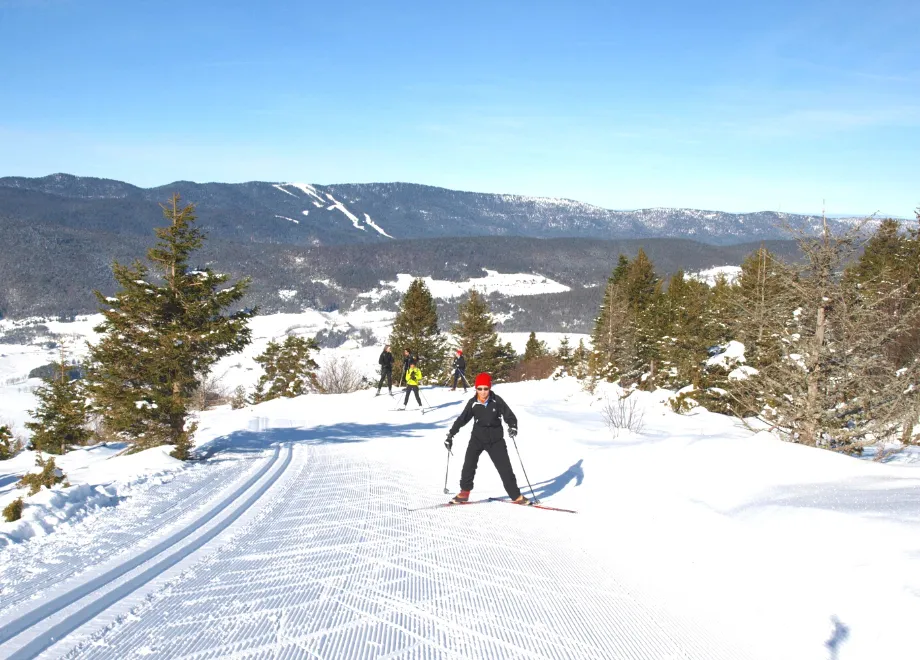 skating vercors