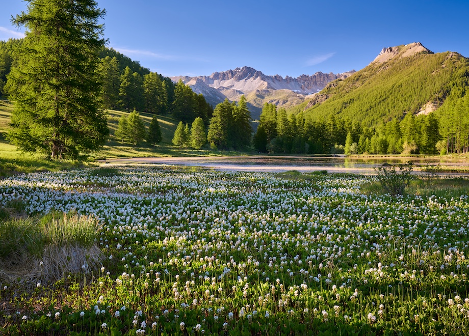 lac de roue en ete ariveux queyras