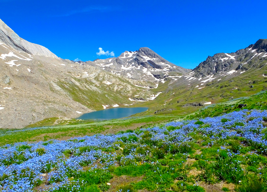 lac foreant queyras - Les plus beaux lacs du Queyras