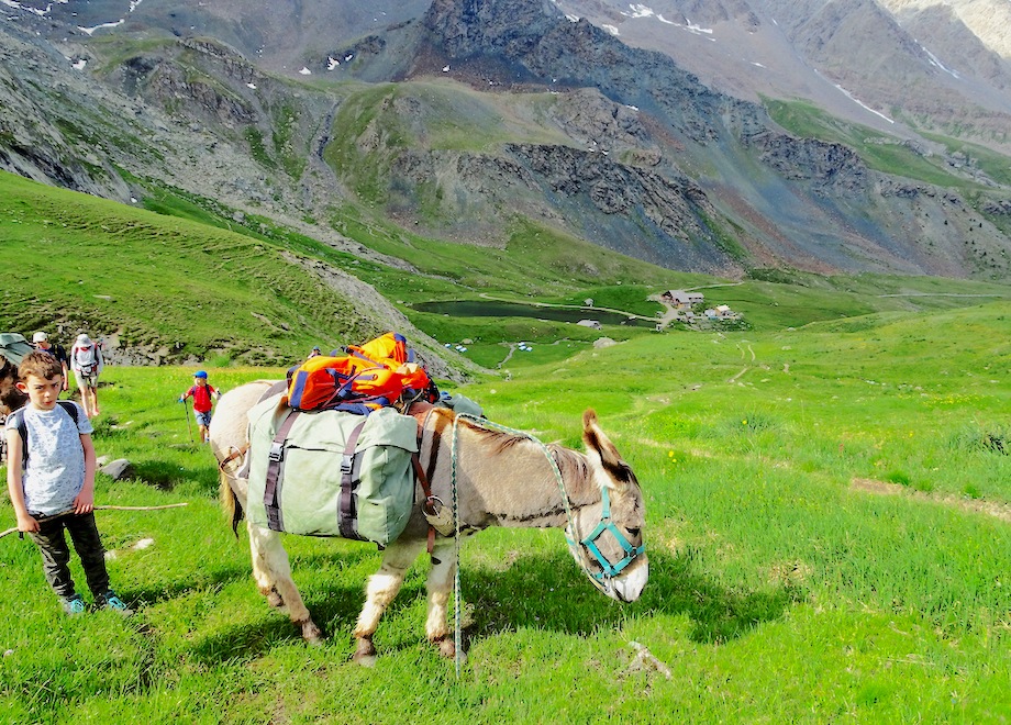 ane randonnee alpes - La vallée des lacs avec un âne