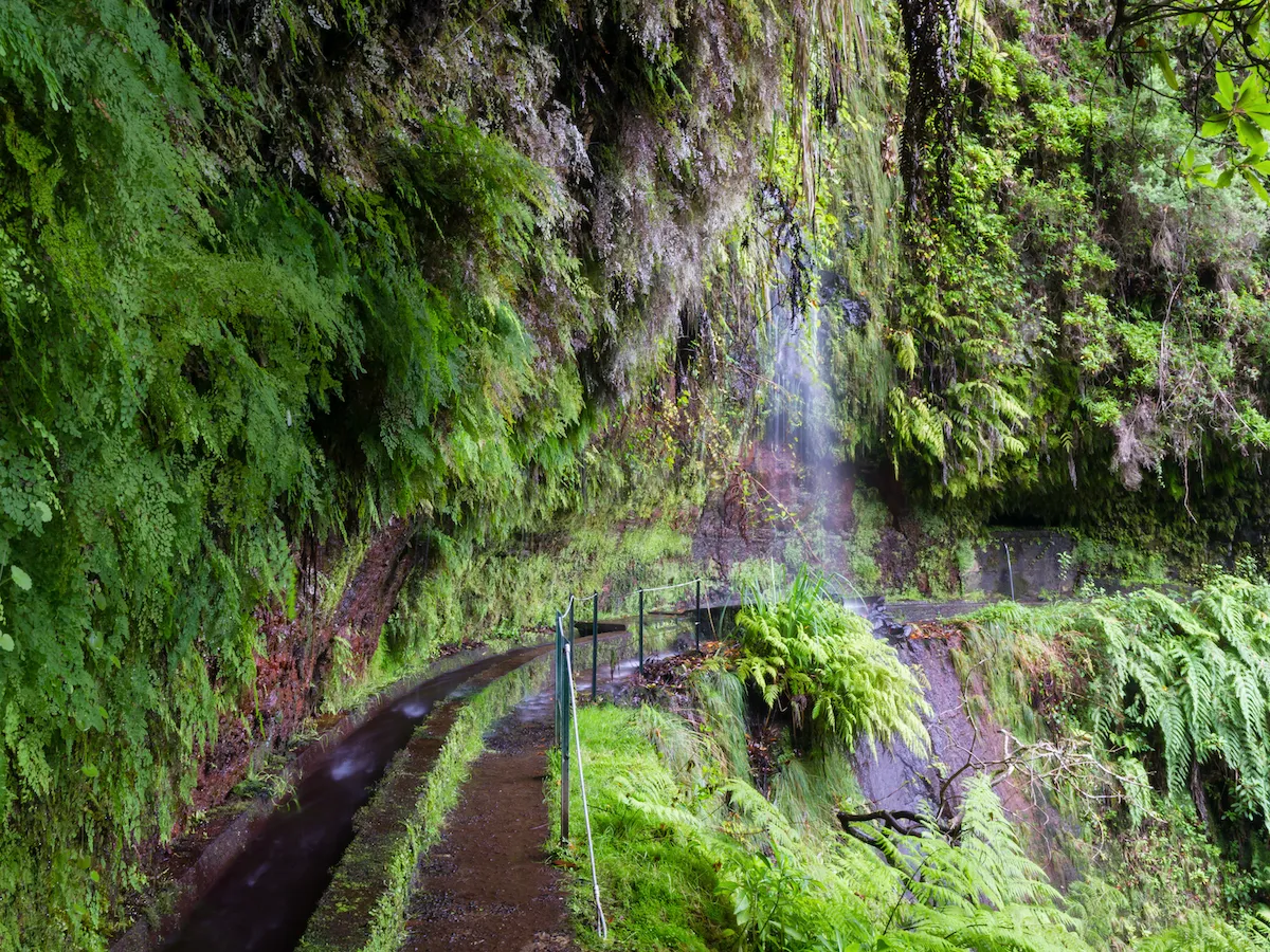 levada do rei madere