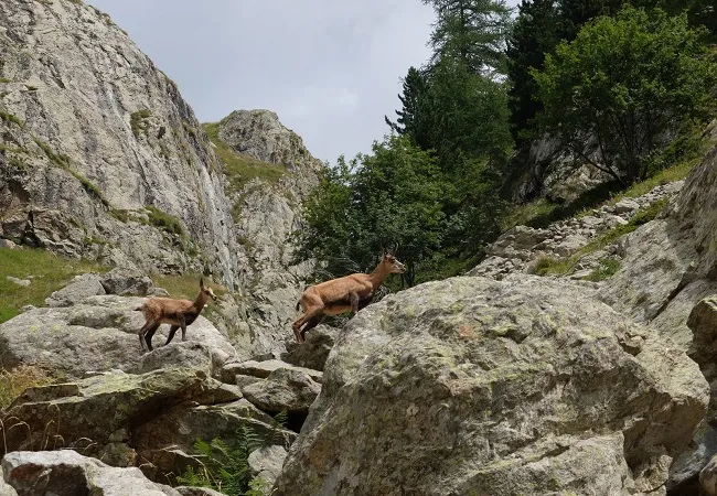 sejour itinerance mercantour