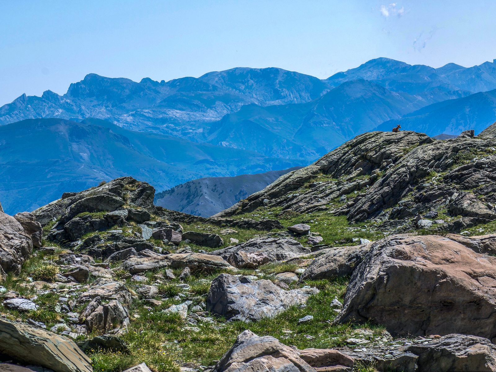 Valpasque Mercantour dans les Alpes