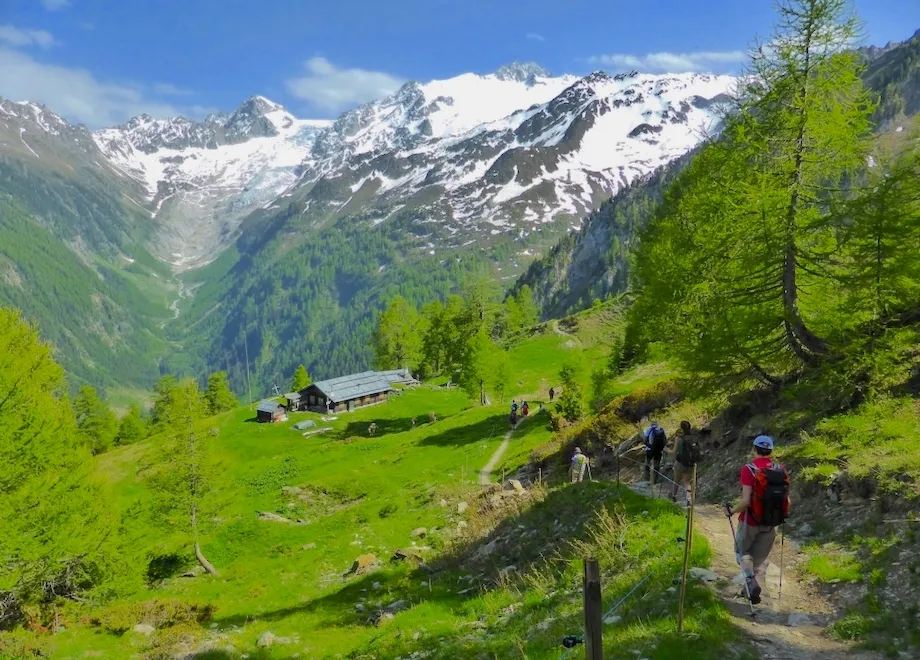 tour mont blanc 7 jours