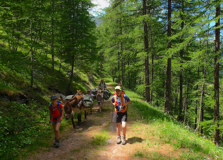 ane sejour famille alpes - Tour du Queyras en famille
