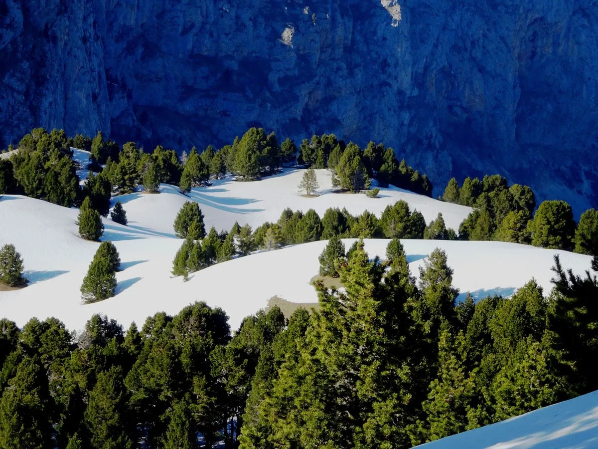 vercors enneige