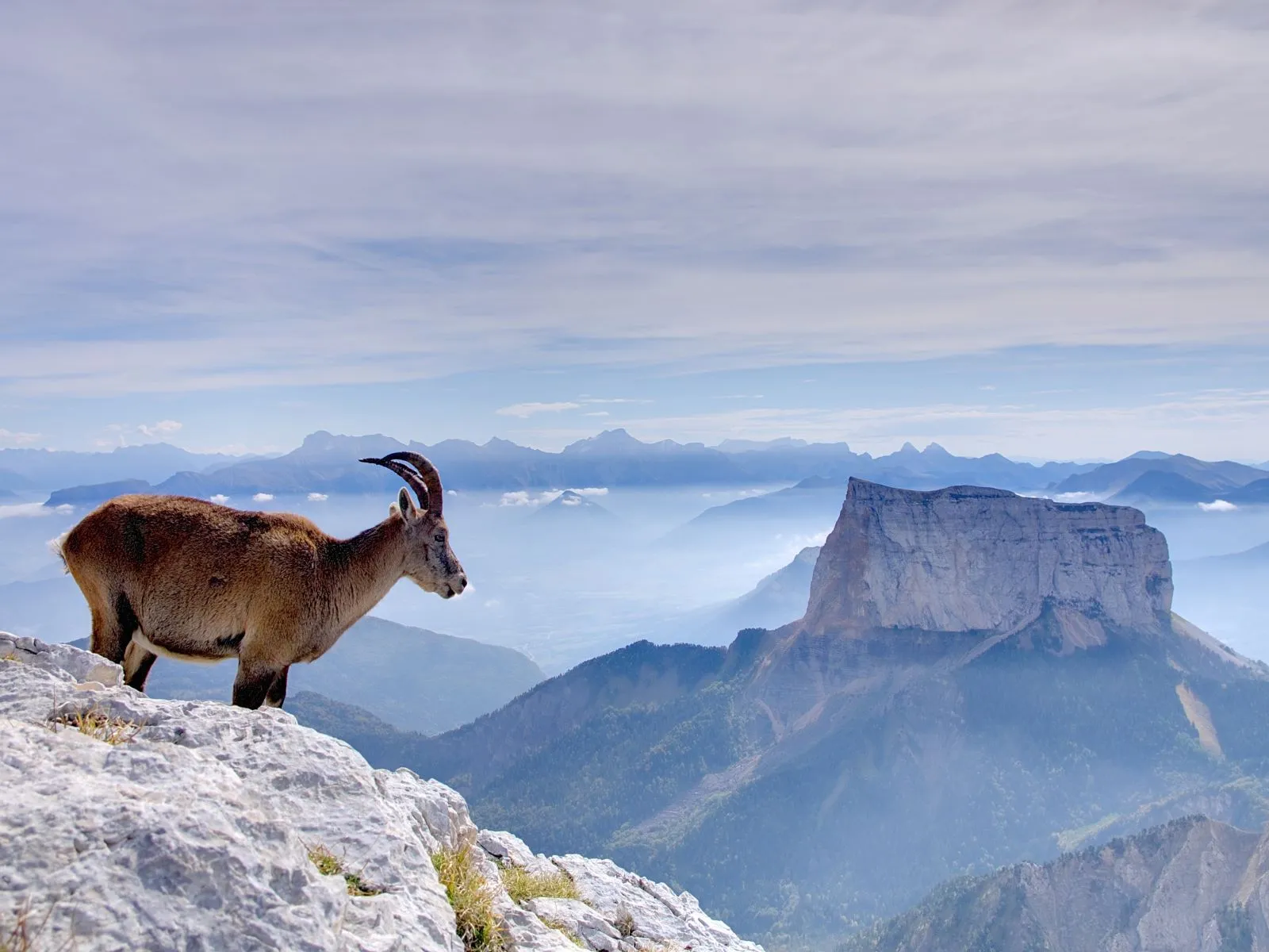 le mont aiguille vercors randonnee
