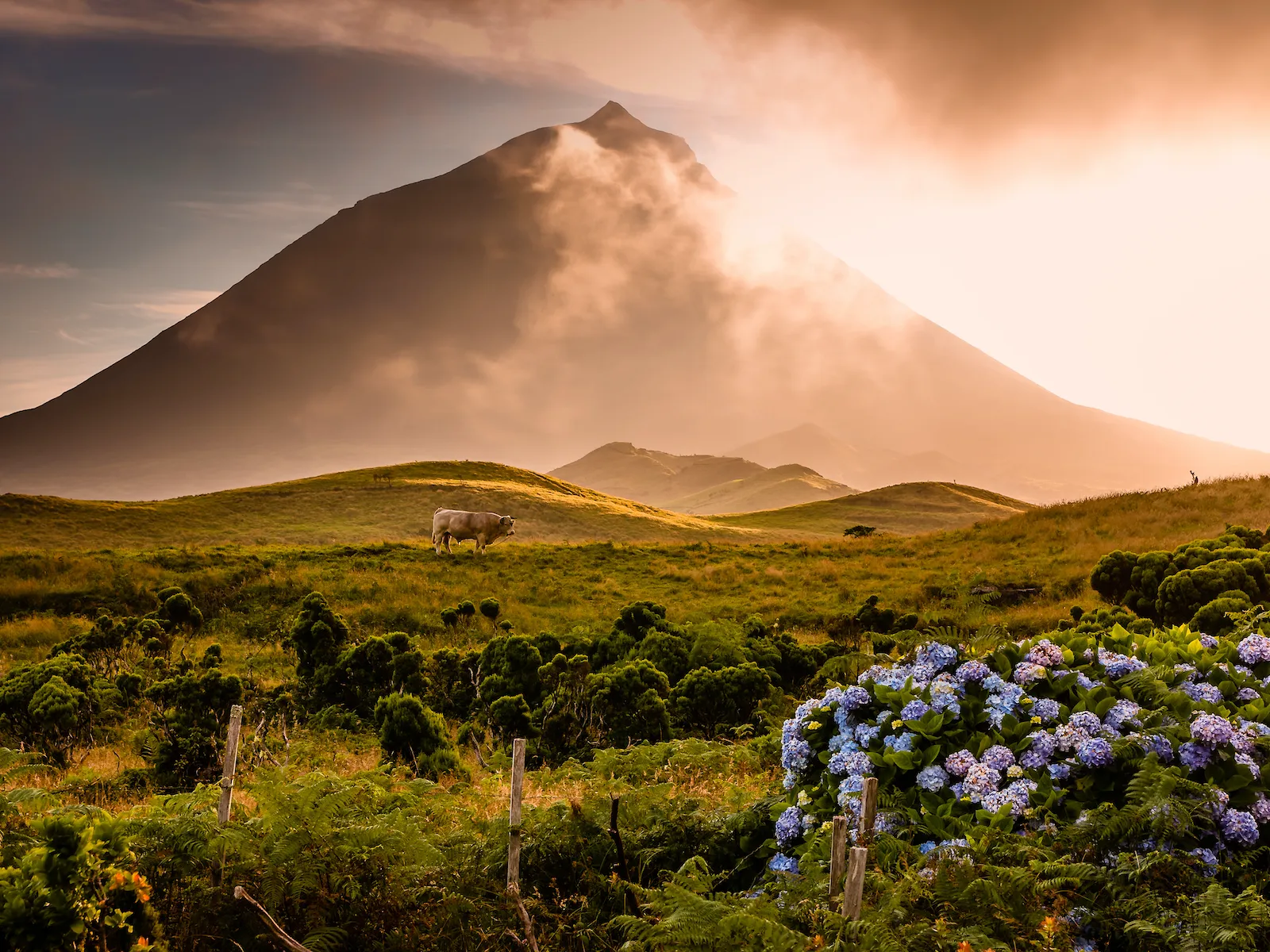 pico ile acores rando