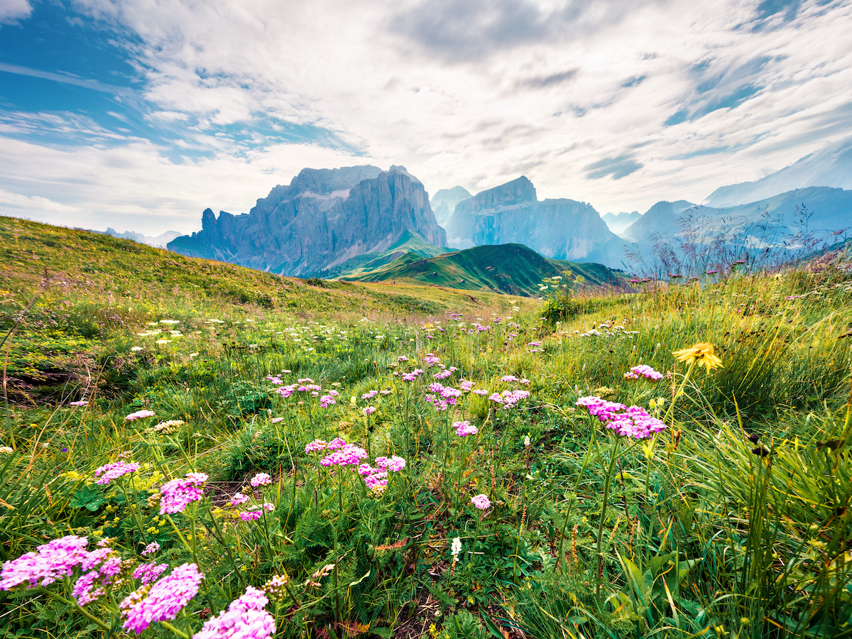 prairies dans le sud Tyrol Dolomites