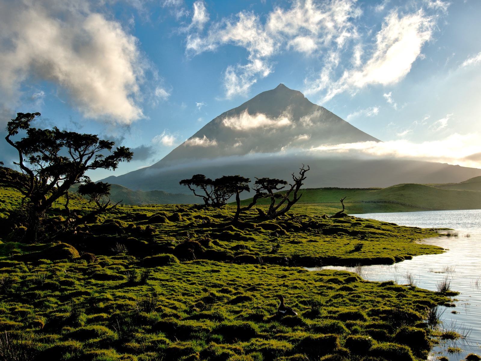 pico ile acores madalena