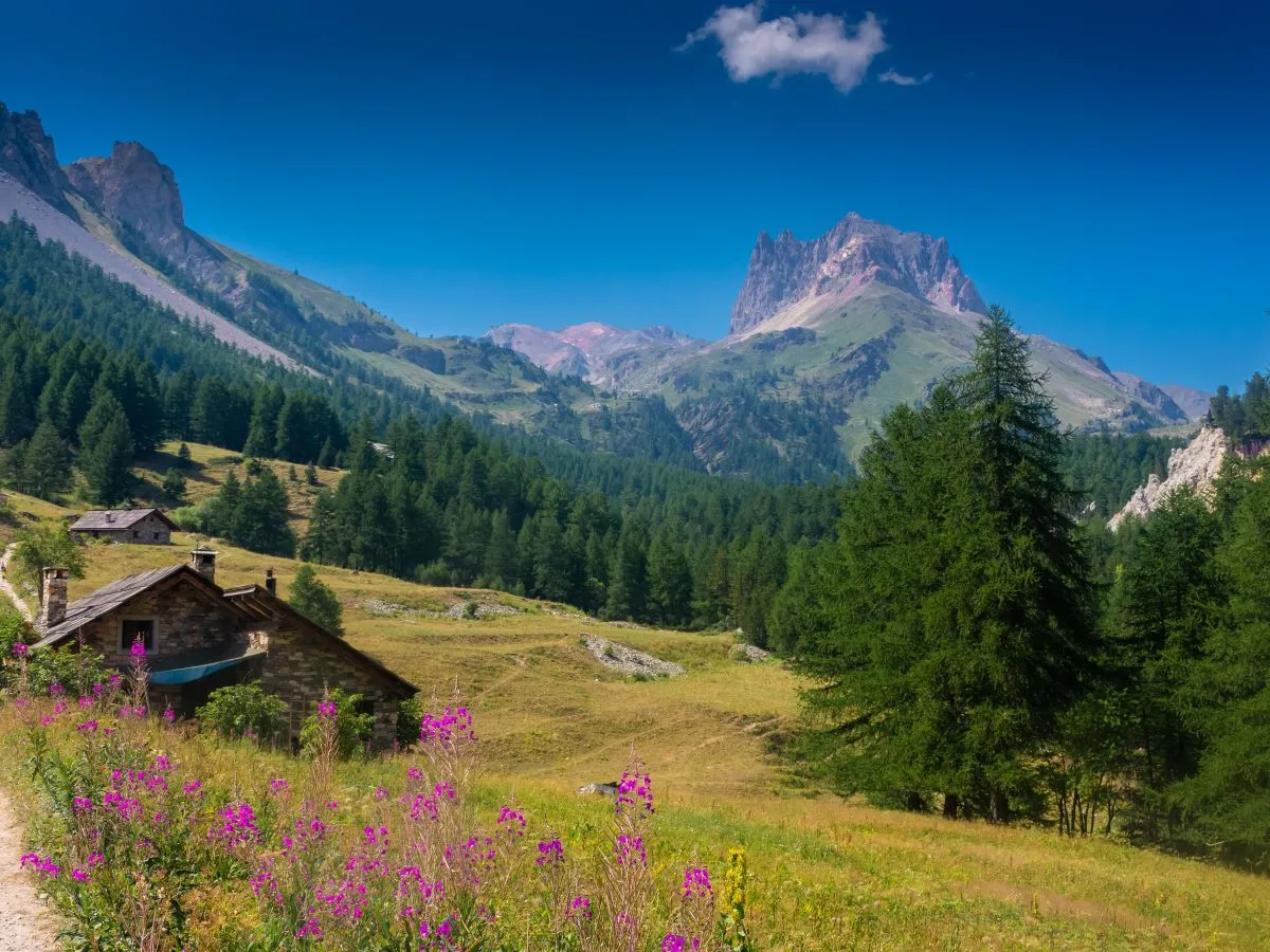 vallee de la claree avec vue sur le mont thabor