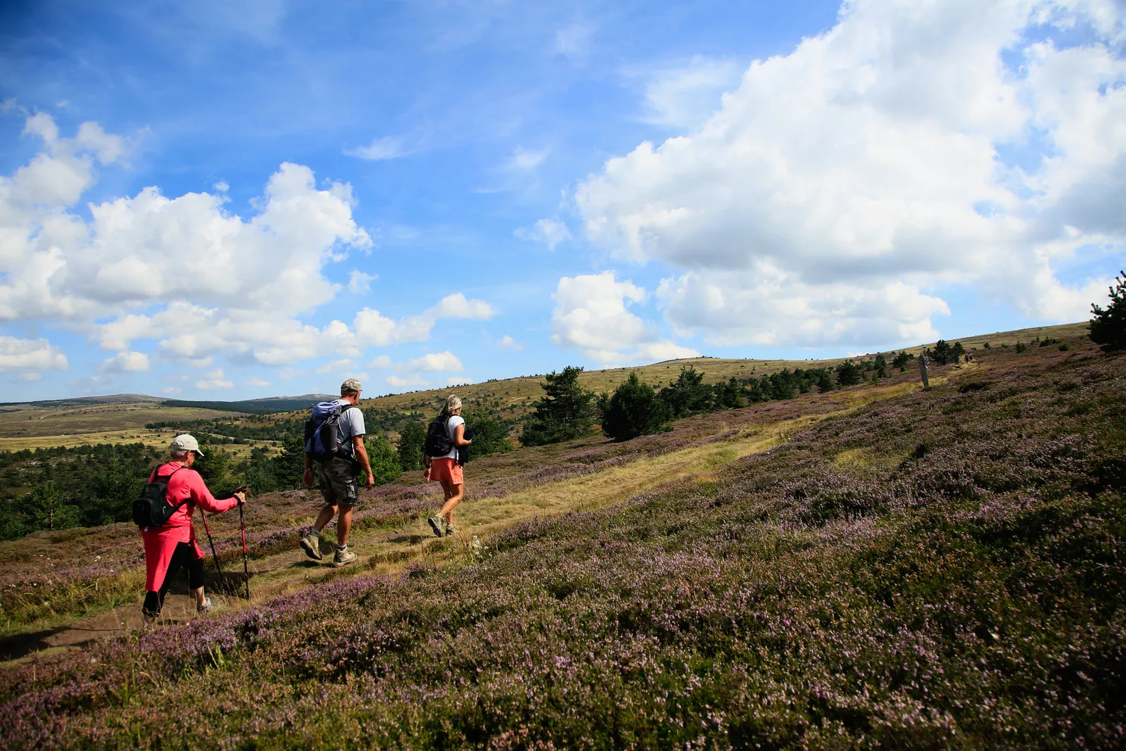mont lozere chemin de stevenson