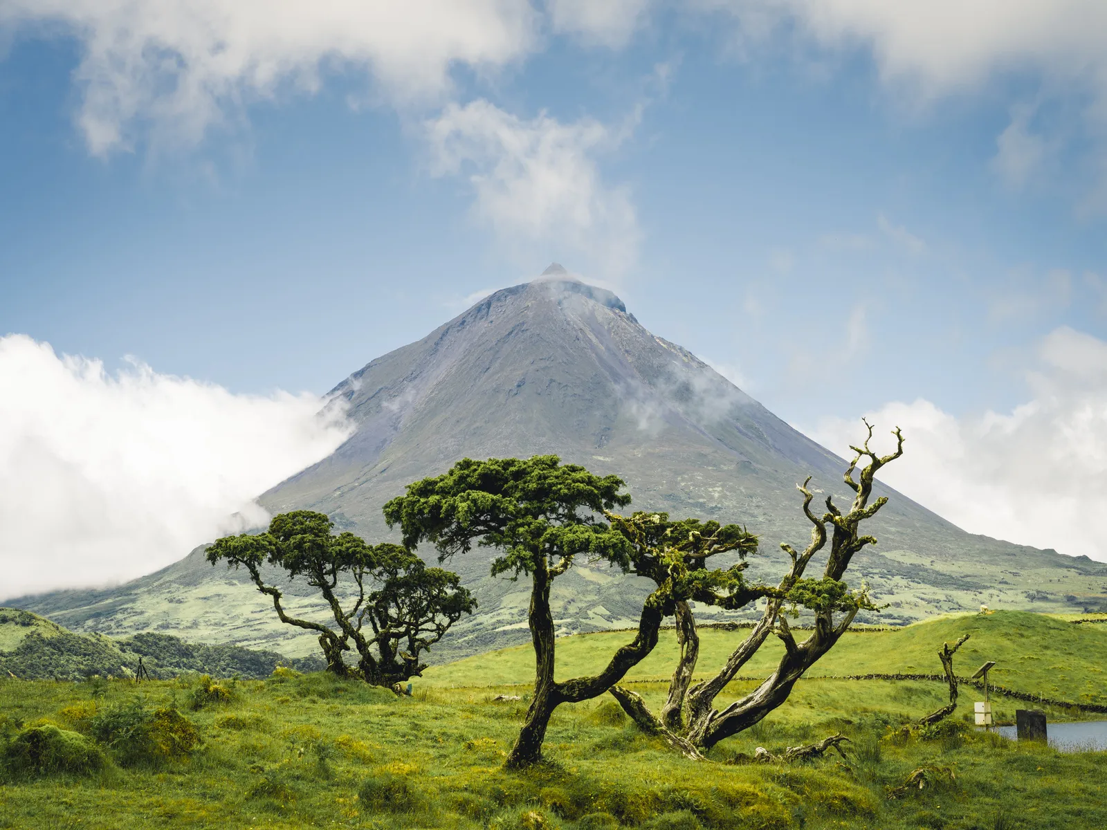 mont pico