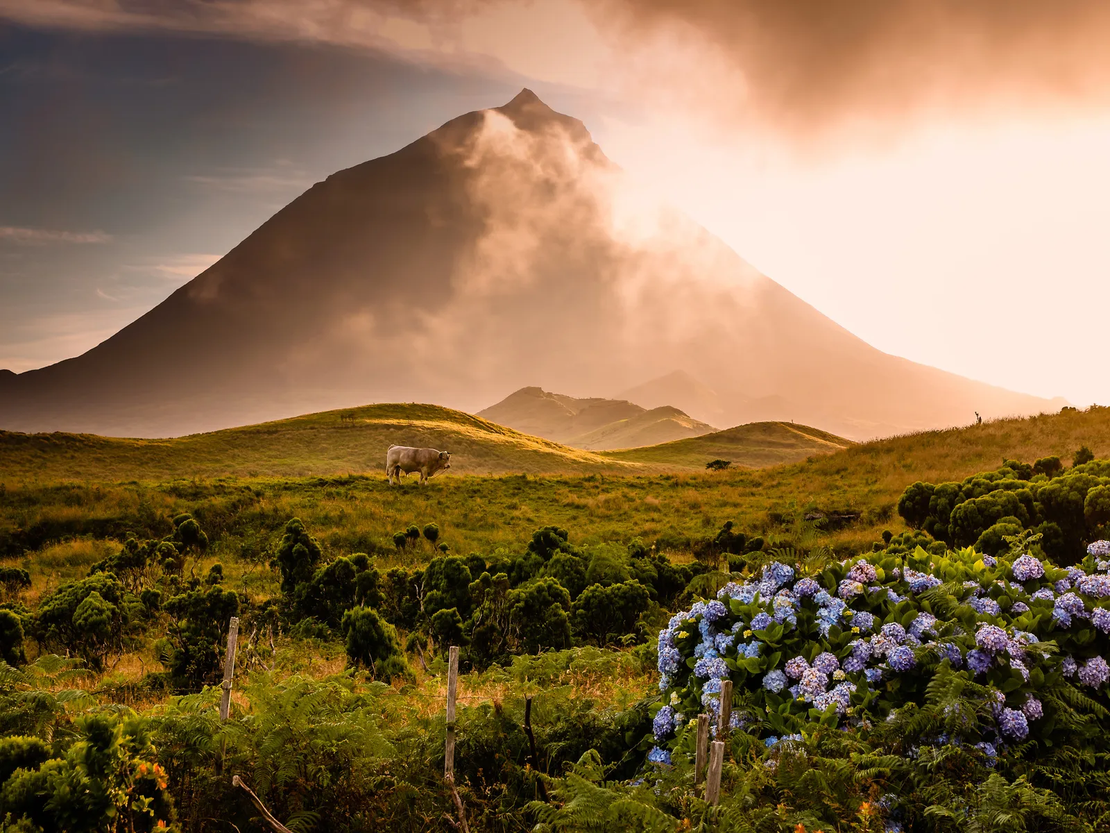 pico ile acores