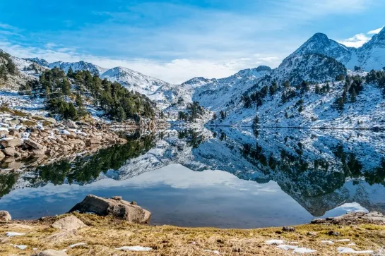 lac baciver