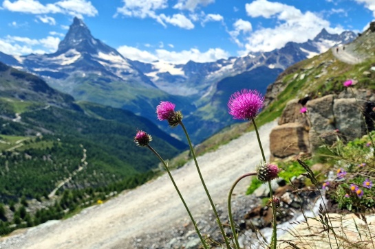 chamonix zermatt